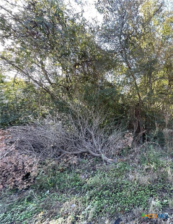 Cameron, TX 76520,TBD Bowie & Newton