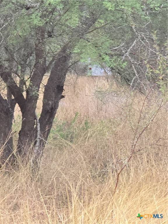 Woodsboro, TX 78393,122 Luke RD