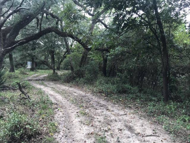 El Campo, TX 77437,0 CR 372