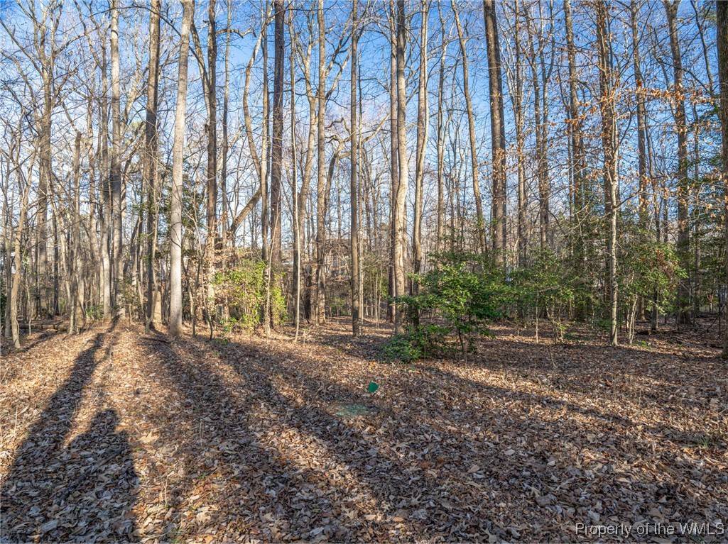 Gloucester, VA 23061,2.5 AC Botetourt AVE