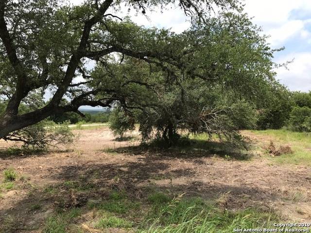 Spring Branch, TX 78070,109 (LOT 2270) UPPER RIVER PL