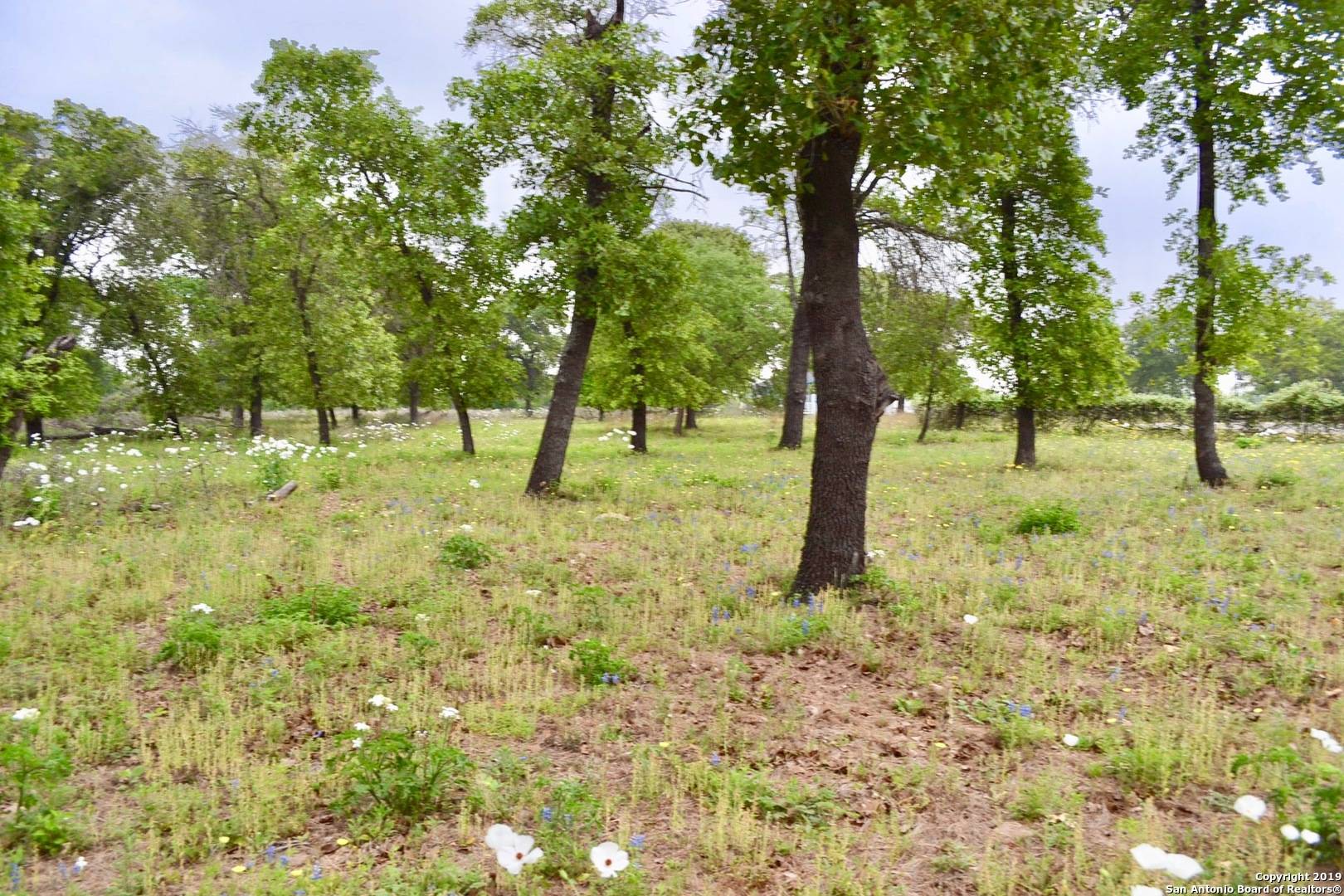 Natalia, TX 78059,LOT 254 Cr 6871