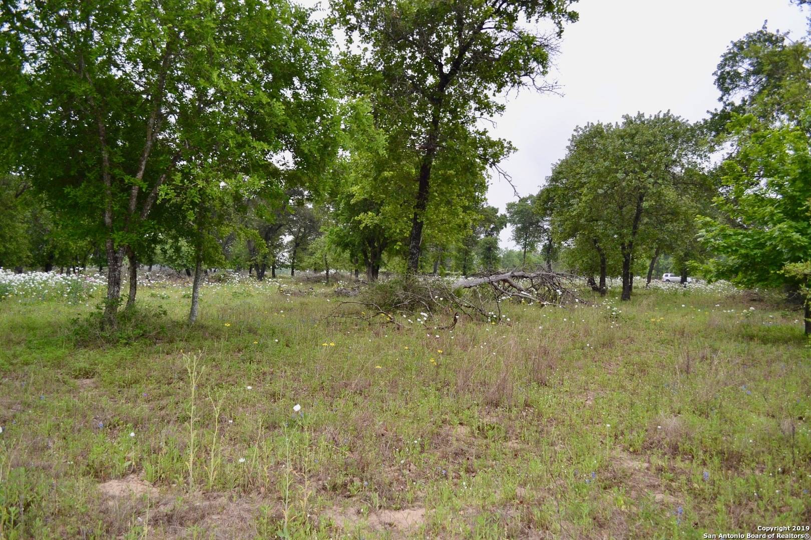 Natalia, TX 78059,LOT 254 Cr 6871