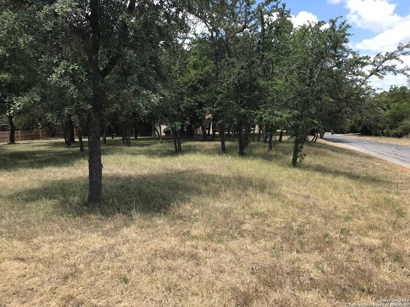 Selma, TX 78154,LOT 1 Old Austin Rd