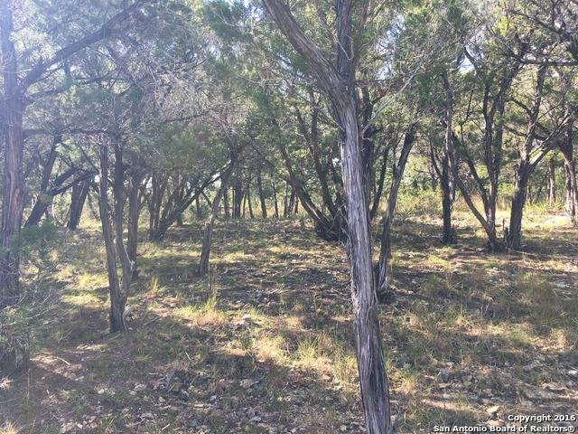 Bandera, TX 78003,LOT 9 PENINSULA