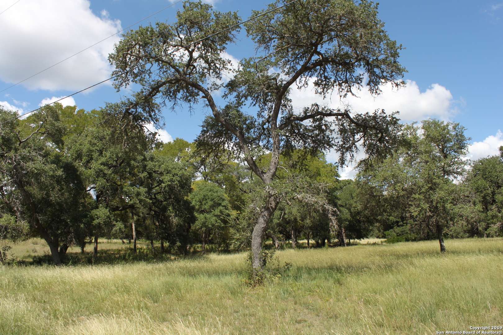 Helotes, TX 78023,LOT 22 Canyon Forest