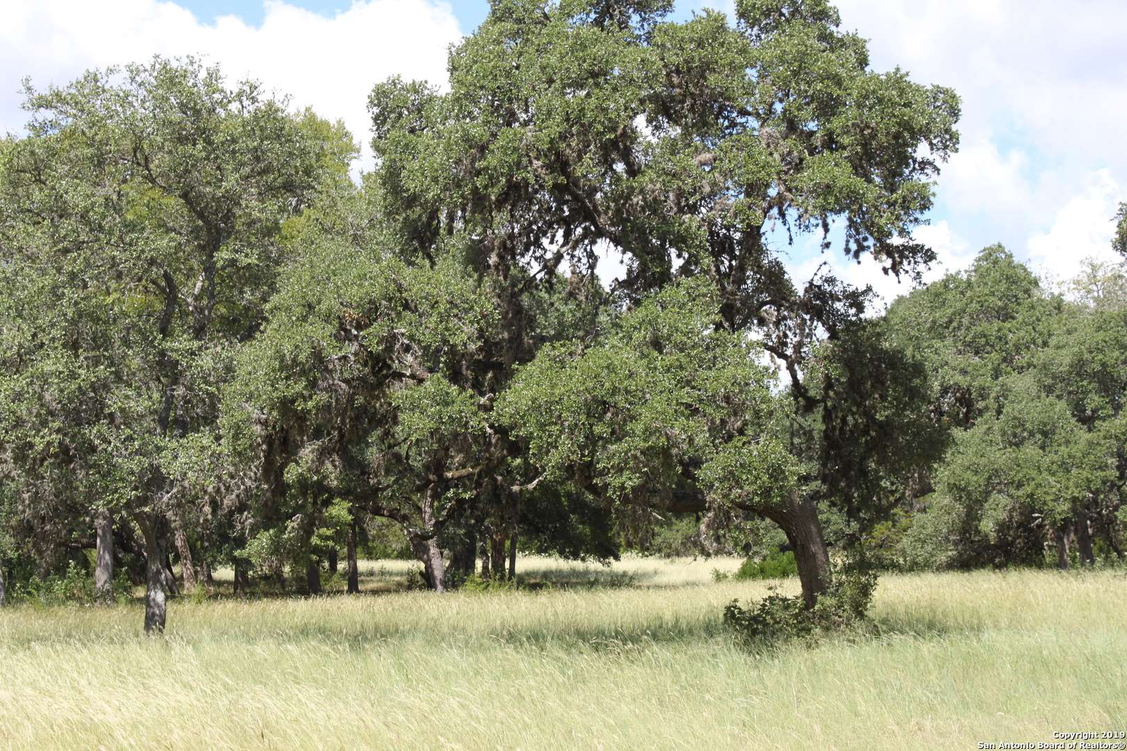 Helotes, TX 78023,LOT 22 Canyon Forest