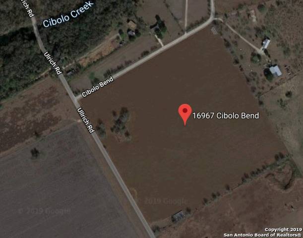 Marion, TX 78124,16967 CIBOLO BEND