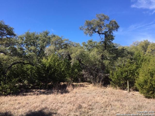 Boerne, TX 78006-5726,LOT #14 WINGED FOOT