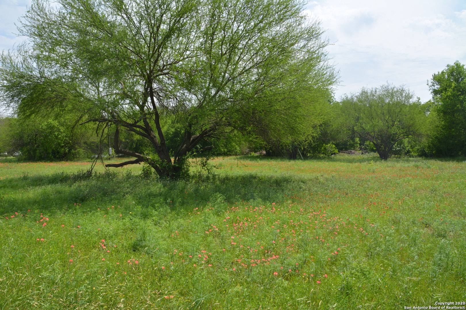 Devine, TX 78016,585 COUNTY ROAD 6753