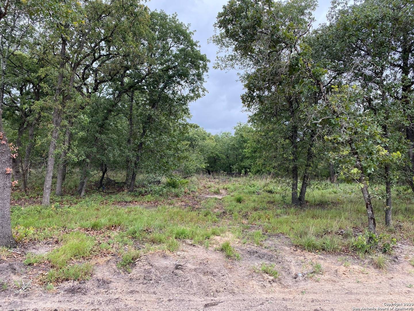 La Vernia, TX 78121,117 Chisum Trail