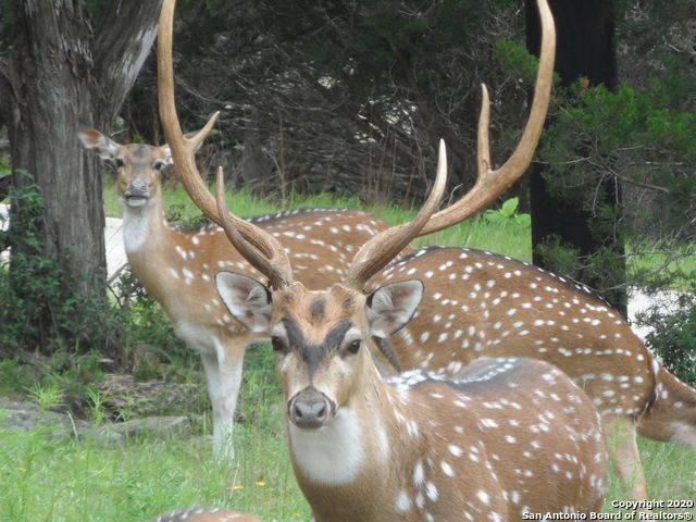 Canyon Lake, TX 78133-3874,340 DOE LN