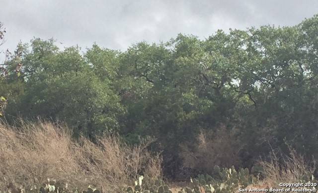 Hondo, TX 78861,000 CR 251