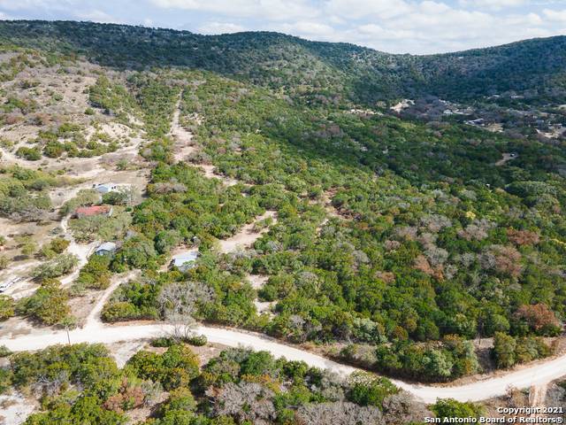 Utopia, TX 78884,1118 Black Jack Hollow Rd