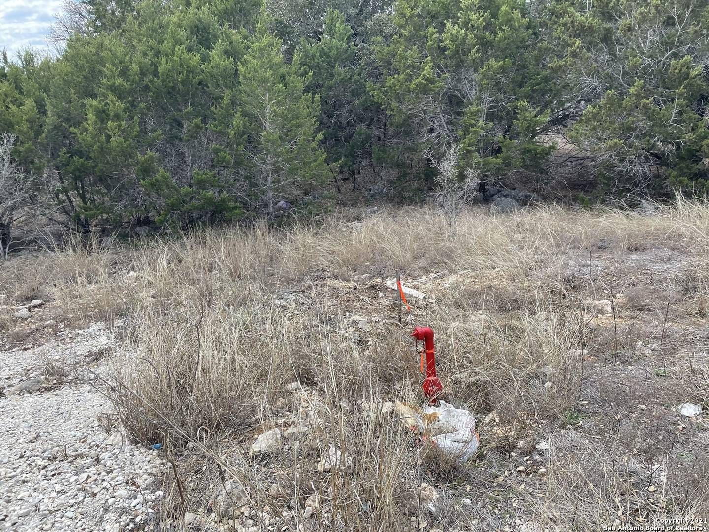 Spring Branch, TX 78070,194 RED TAIL CV