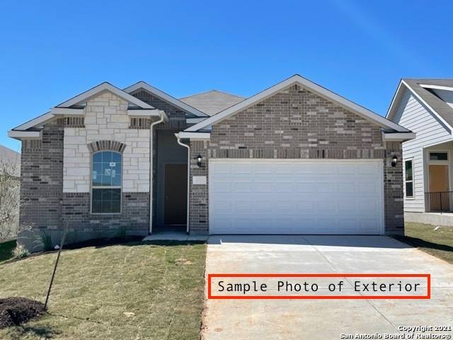 New Braunfels, TX 78130,3252 Blue Lobelia