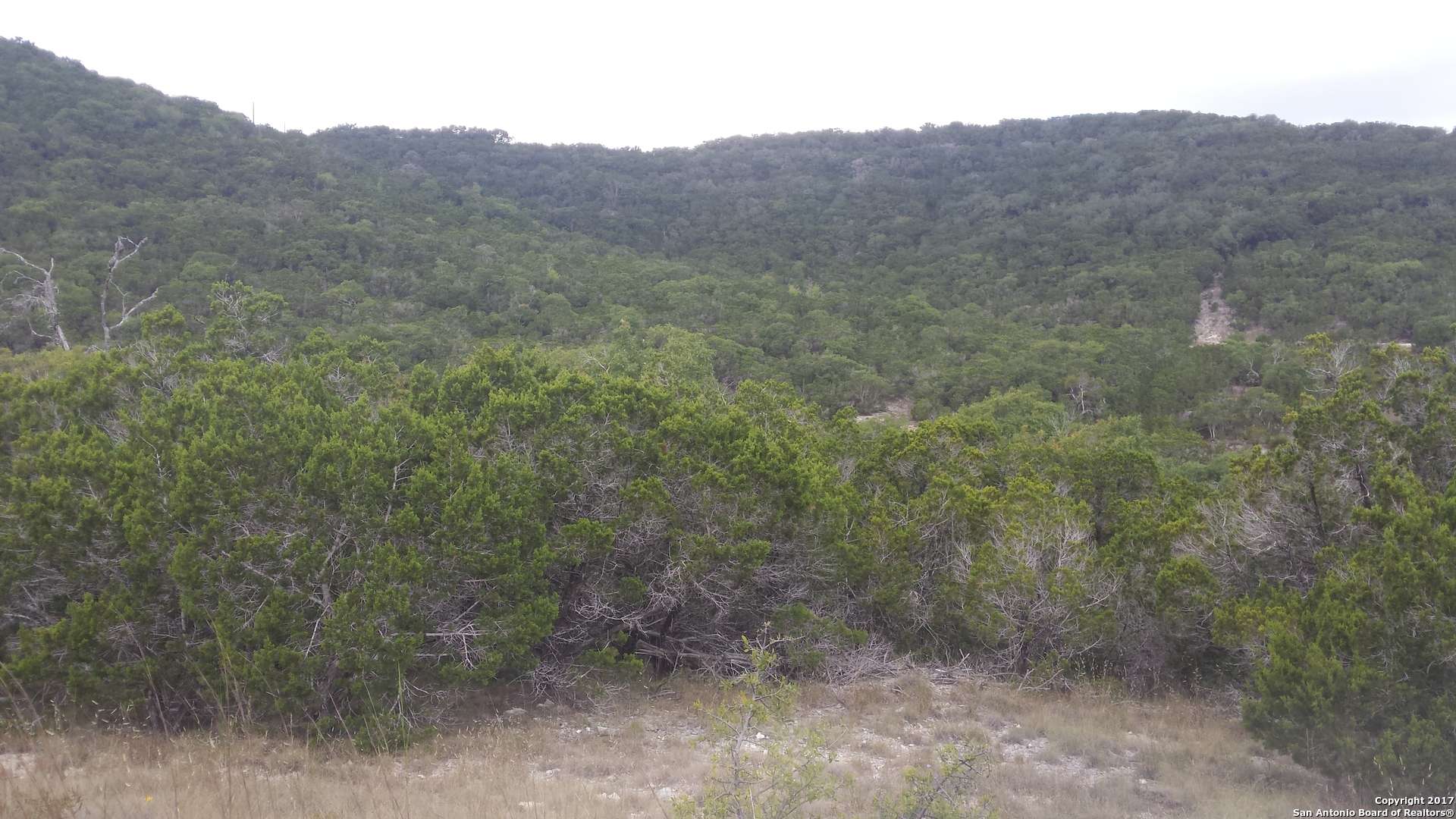 Pipe Creek, TX 78063,LOT 29 Goat Ridge