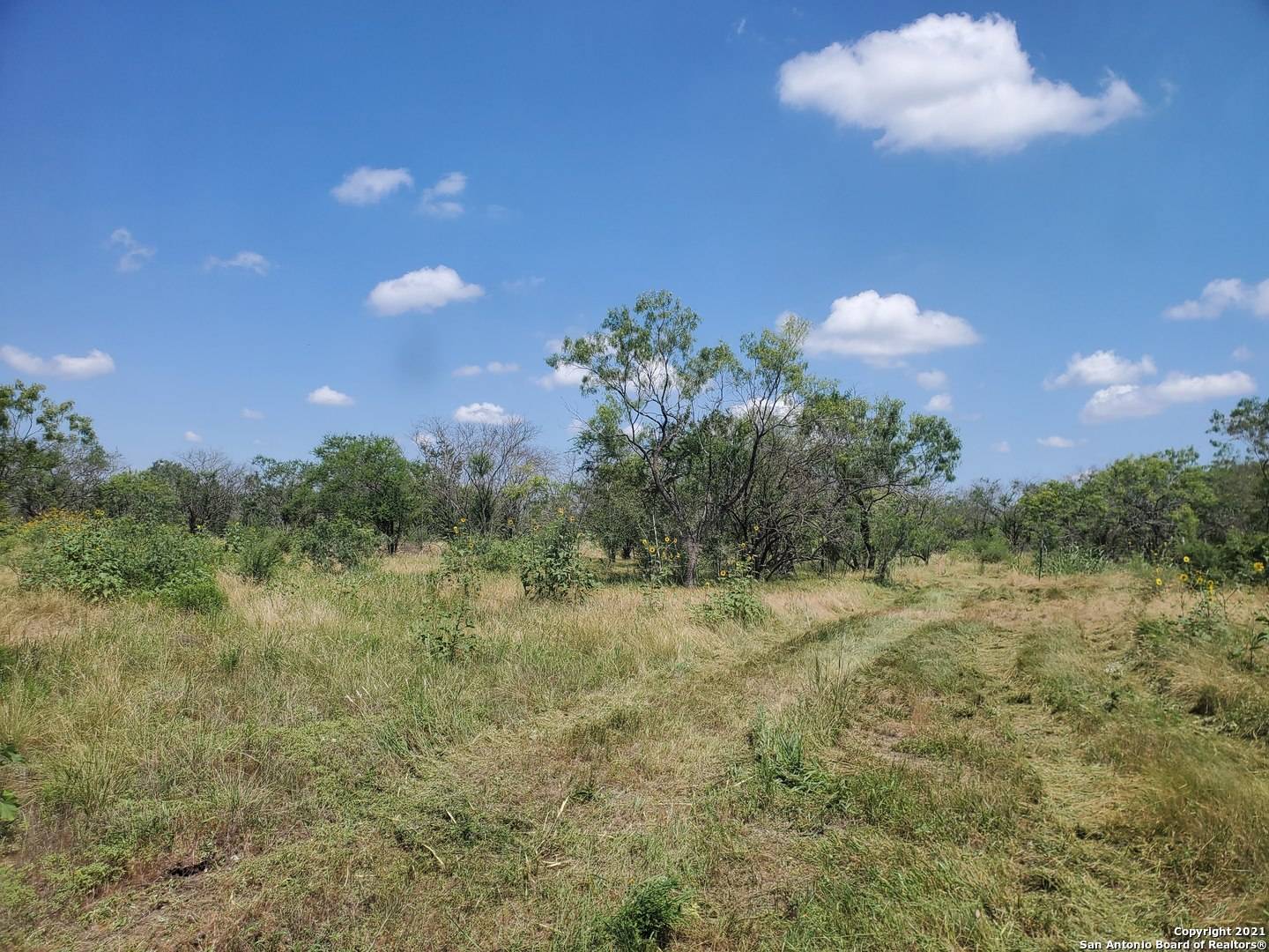 Nixon, TX 78140,600 CR 483