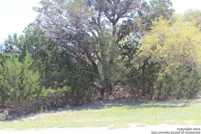 Bandera, TX 78003,LOT 103 PR 1516