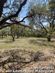 Bulverde, TX 78163,989 Jenny Leigh Trail