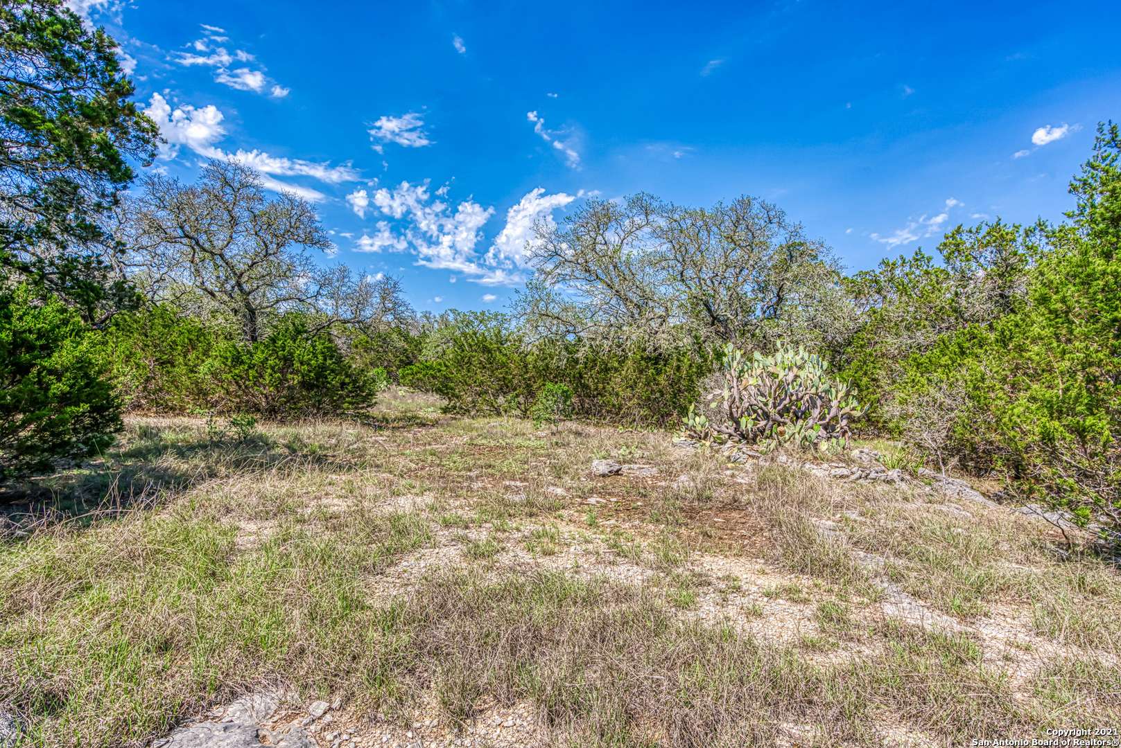 Spring Branch, TX 78070,603 COYOTE RIDGE DR