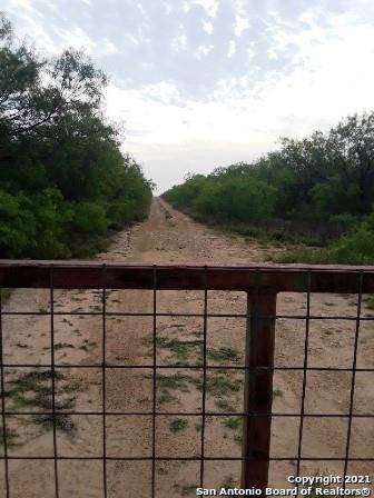 Crystal City, TX 78839,#12 Laguna Pasture