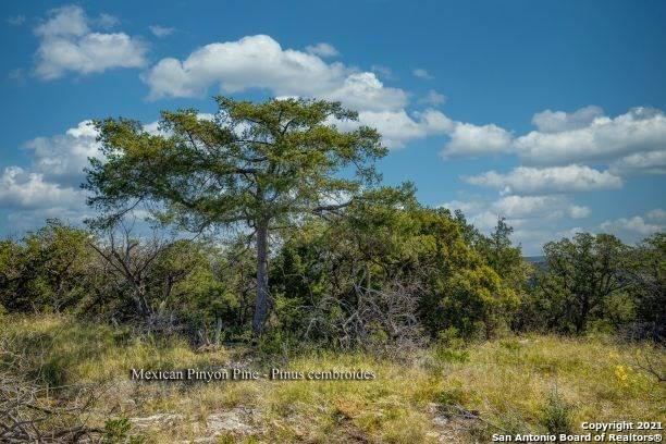 Leakey, TX 78873,0 RR Hwy 337 W.