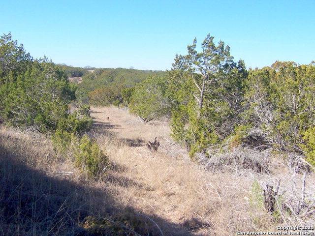 Leakey, TX 78873,00 Rancho Real