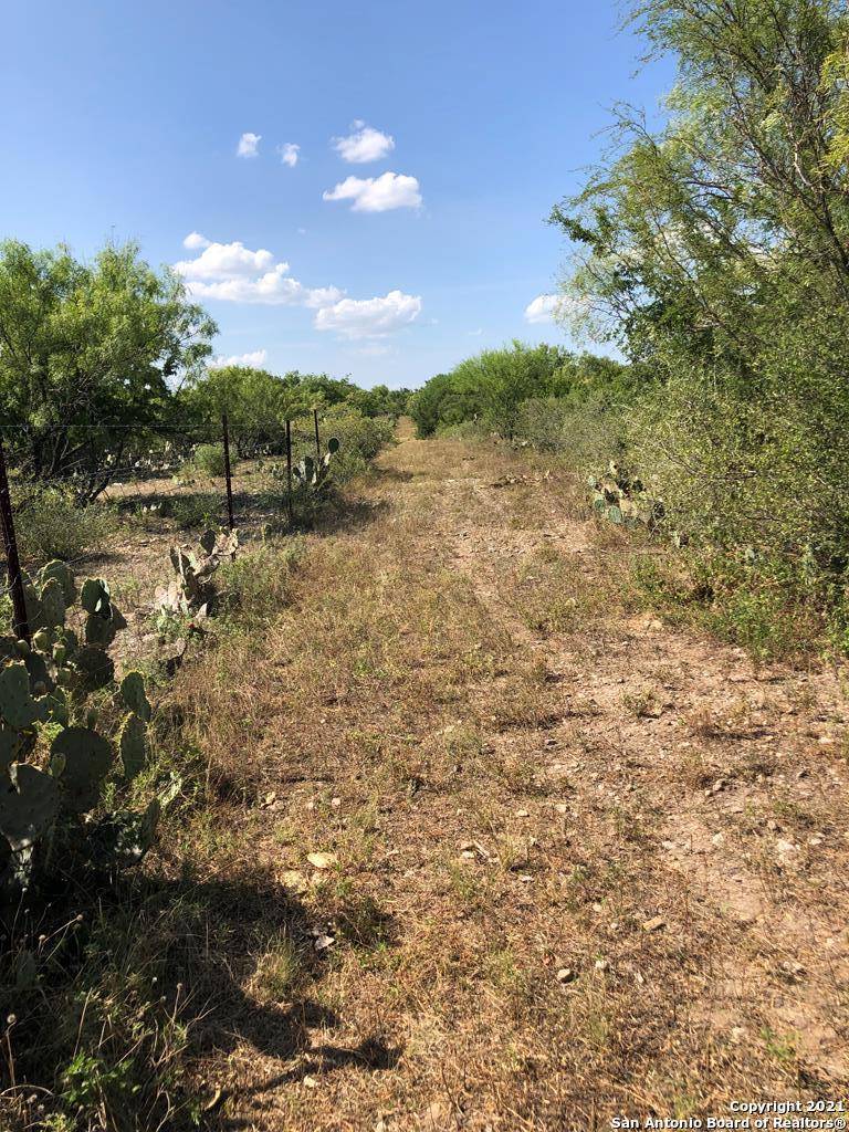 Sabinal, TX 78881,2590 County Road 319