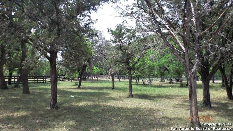 Concan, TX 78838,000 Heartstone Lane