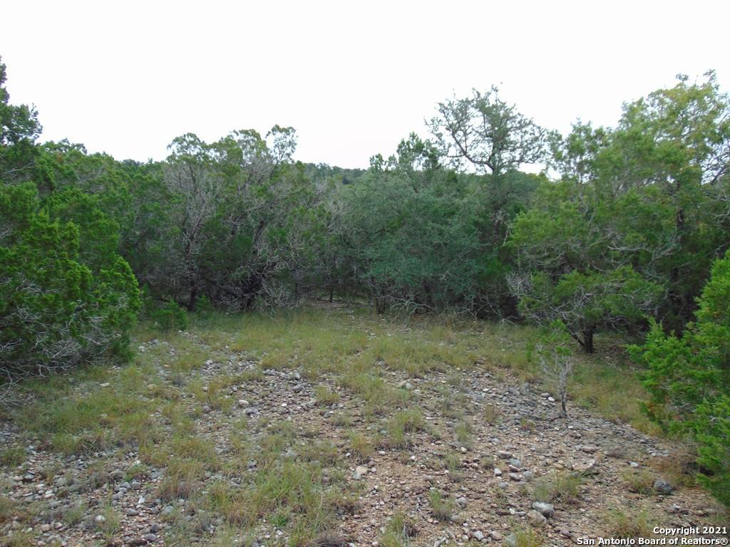 Concan, TX 78838,0 Frio Canyon Loop