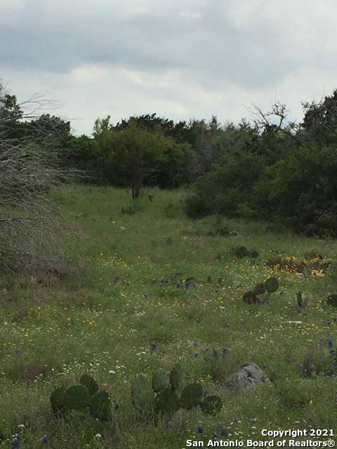 Brackettville, TX 78832,LOT 126 Leona Ranch