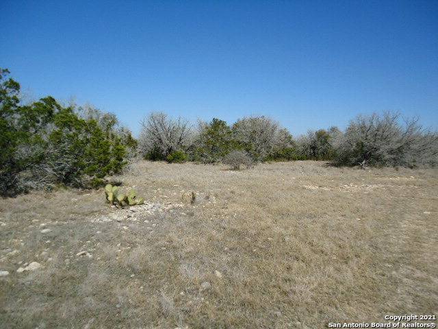 Rocksprings, TX 78880,1180 w view rd