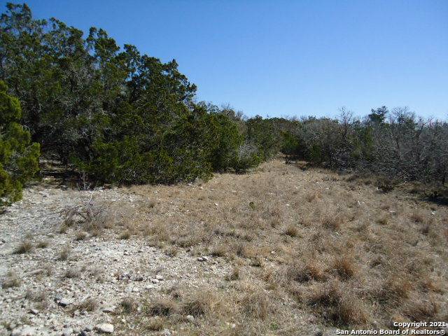 Rocksprings, TX 78880,1180 w view rd