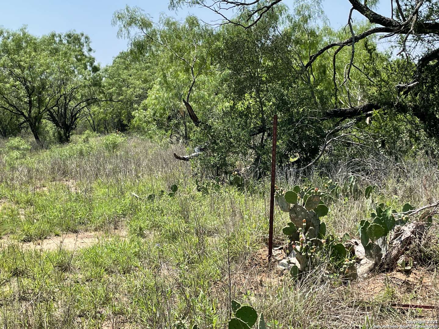 Christine, TX 78012,LOTS 2961-2963 Avenue K