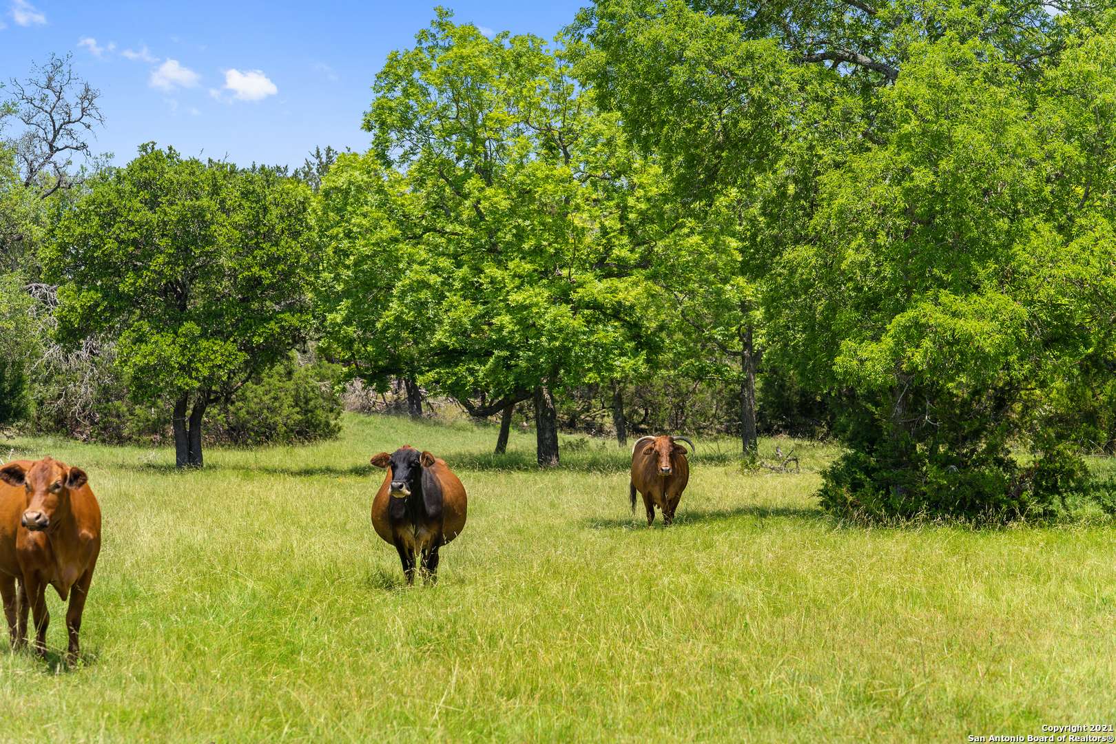Fredericksburg, TX 78624,12684 State Highway 16