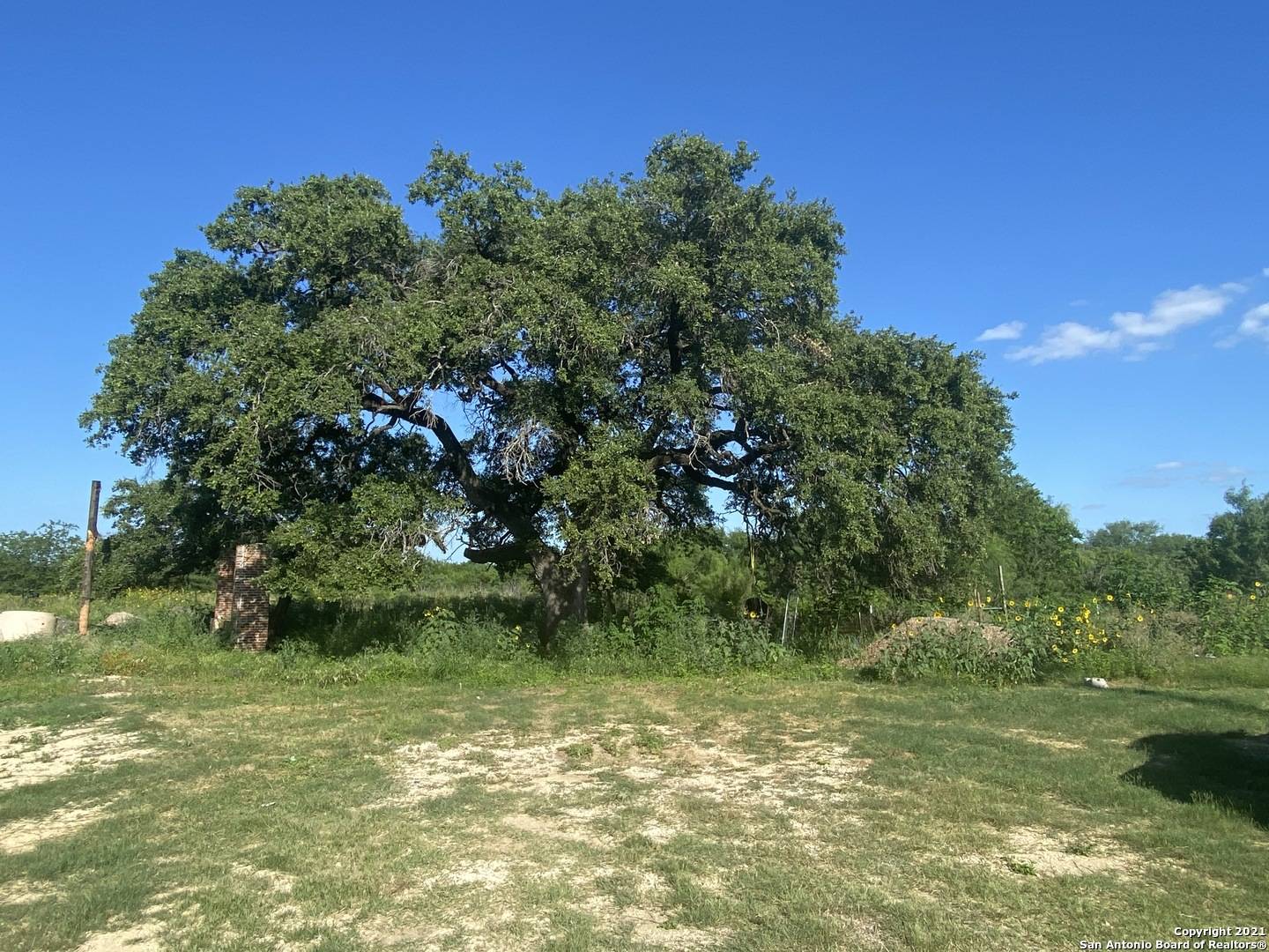 San Antonio, TX 78221,16196 US Highway 281