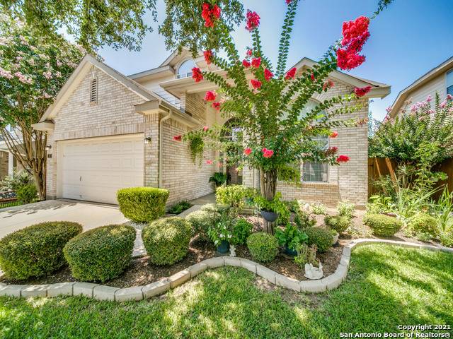 Cibolo, TX 78108-4325,120 CRIMSON TREE