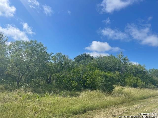 Floresville, TX 78114-9735,TBD COUNTRY VIEW LN