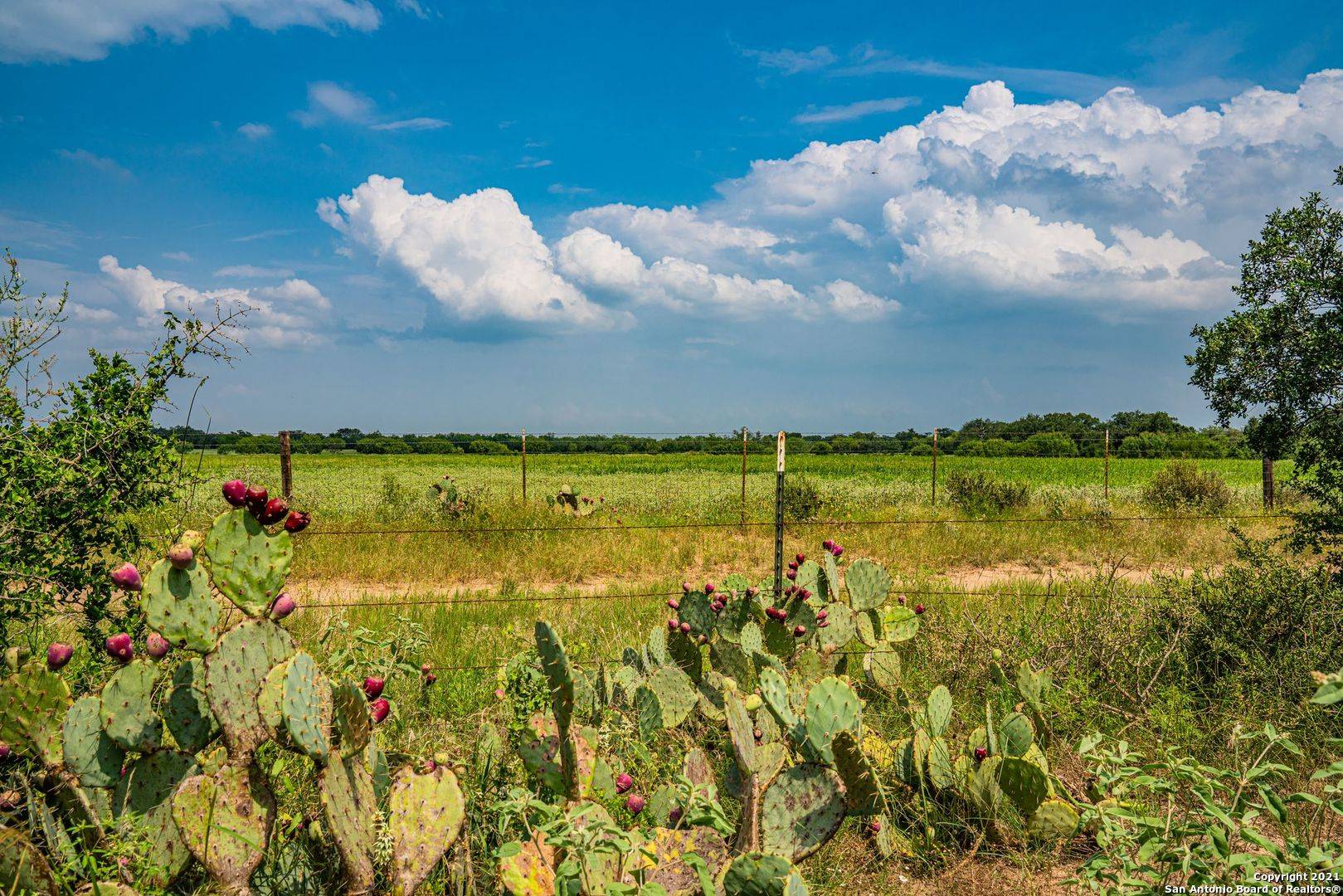 Bigfoot, TX 78005,4856 B State Hwy 173