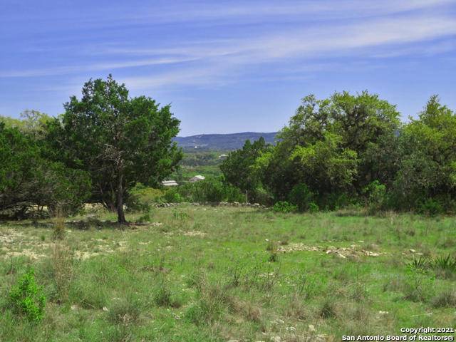 Pipe Creek, TX 78063,LOT 1 Bear Springs Trail