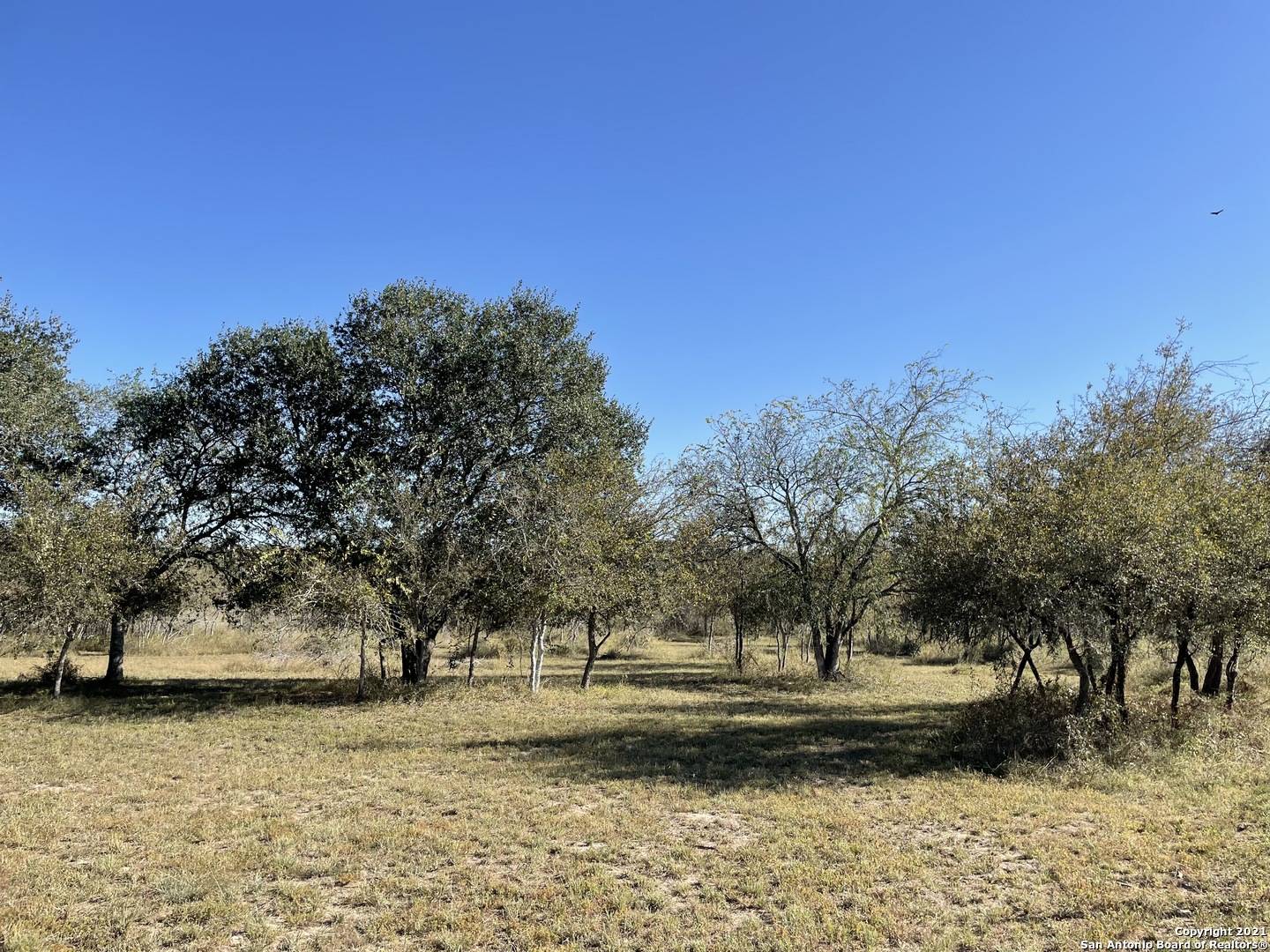 Poteet, TX 78065,000 Hermosa