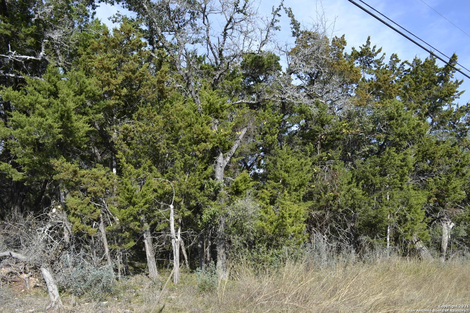 Bandera, TX 78003,LOT 304 WHARTONS DOCK
