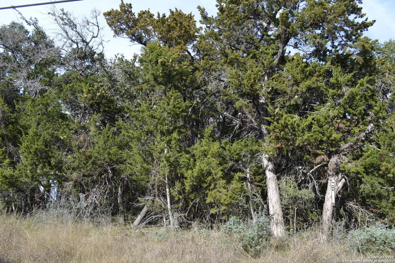 Bandera, TX 78003,LOT 304 WHARTONS DOCK