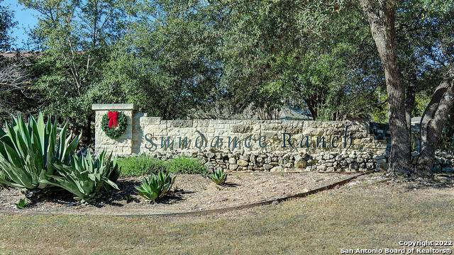 Boerne, TX 78006,25118 Buffalo Clover