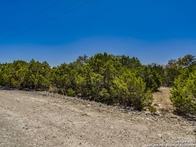 Spring Branch, TX 78070,LOT 71 Cliff