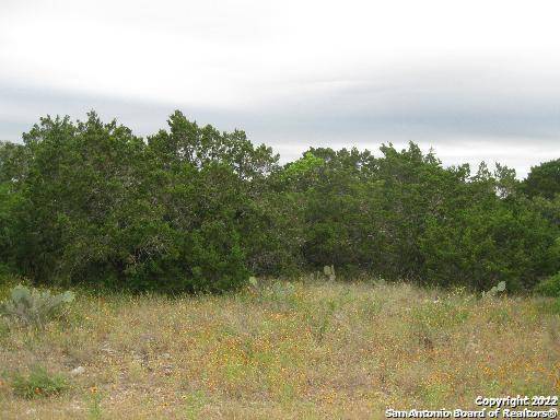 Mico, TX 78056,35 CR 2731