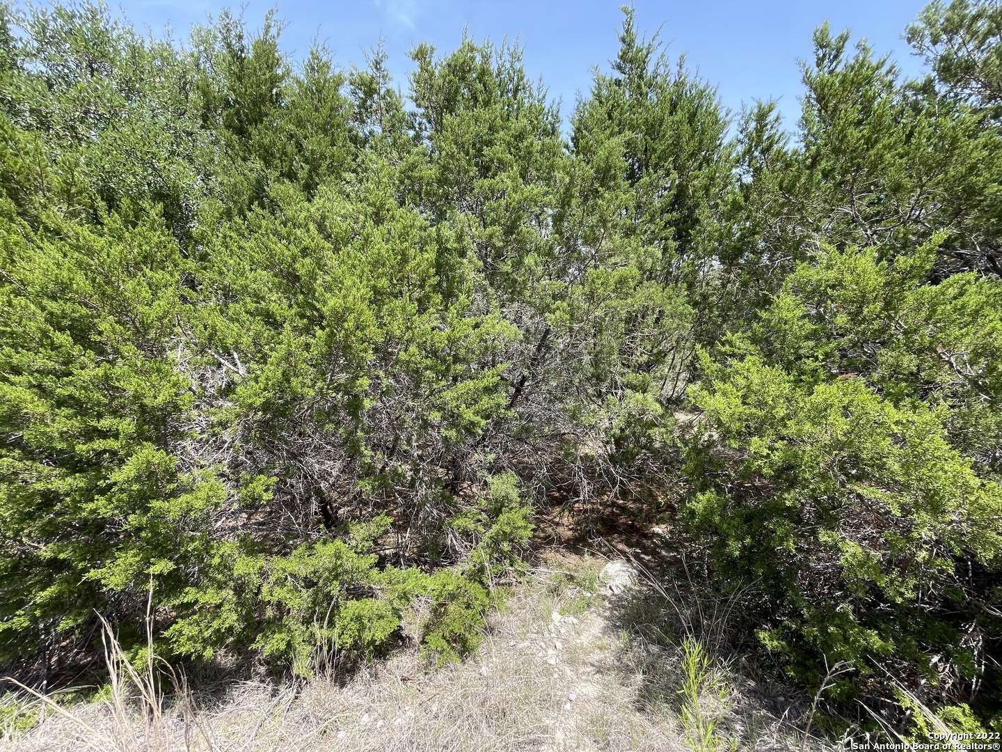 Canyon Lake, TX 78133,421 BLUEBONNET BREEZE