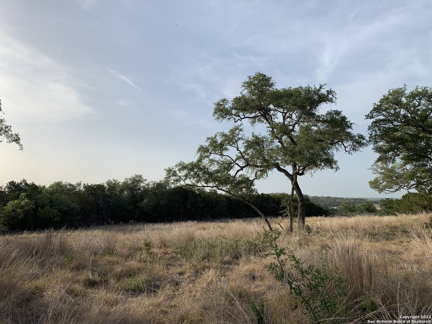 Canyon Lake, TX 78133-3035,2148 ANDALUSIA