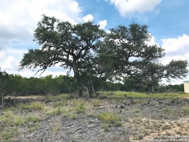 Pipe Creek, TX 78063,PARCEL 4 Rio Lantana